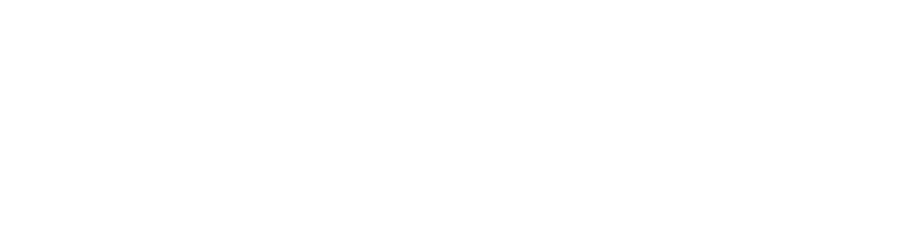 CV Logo Wit